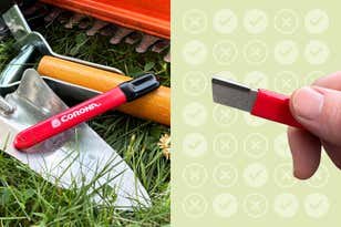 The Best Smart Assistive Devices for People With Disabilities