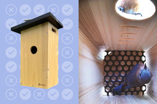 The Best Beach Towel