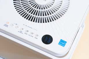 The Best Dehumidifiers