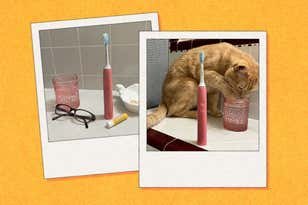 The Best Hair Straightener