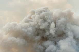 The Best Robot Vacuum