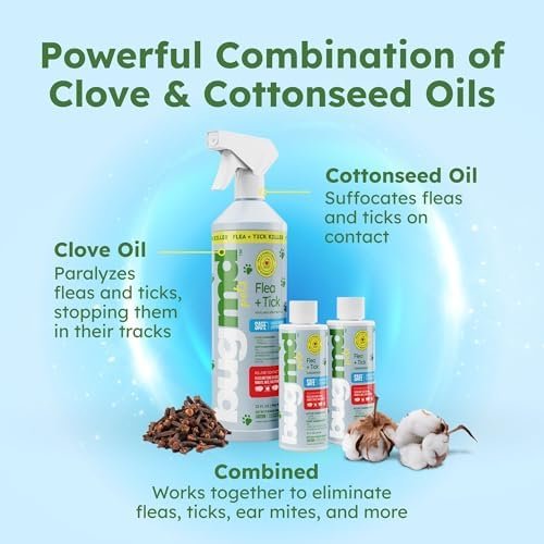 review-1-7 BugMD infographic showing how clove oil paralyzes fleas and cottonseed oil suffocates them on contact