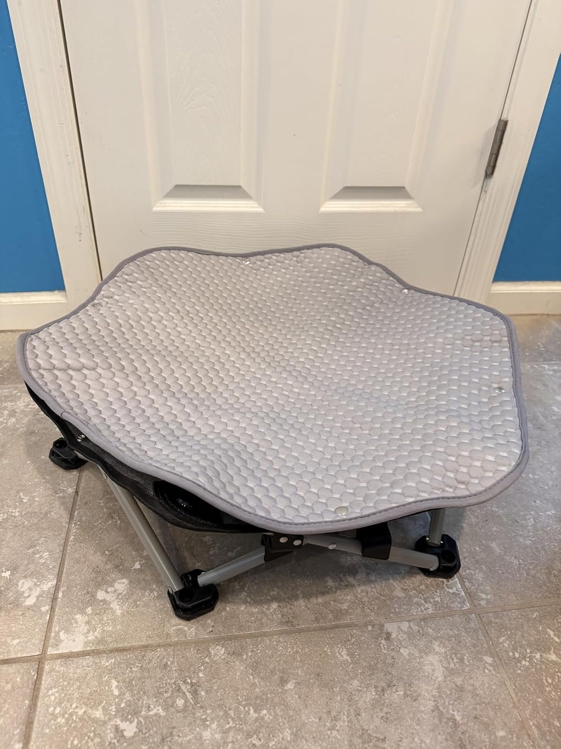 review-2-13 Close-up of the breathable mesh and 16mm steel frame on the Pecute elevated dog cot