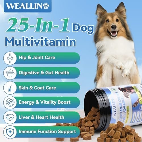 review-3-8 Close-up of the WEALLIN dog multivitamin chew showing its soft, bite-sized texture